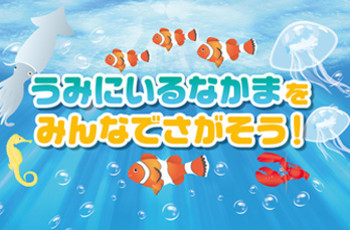 ブレンダム・ドックで海のなかまさがし♪♪
