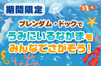 ★ブレンダム・ドックで海のなかまさがし☆